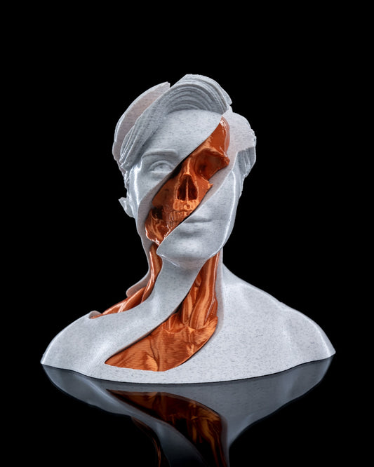 Whirls Anatomy – statuieta fidget printata 3D cu design anatomic abstract